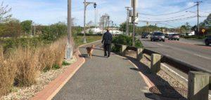 Woman walking dog down path