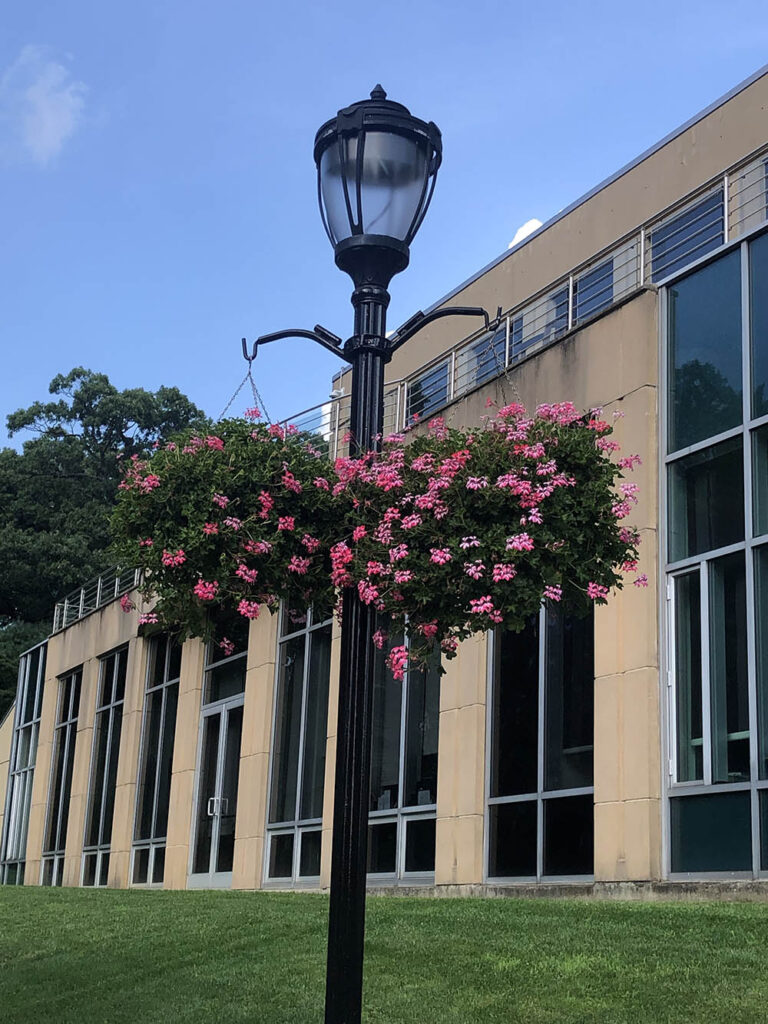 hanging baskets